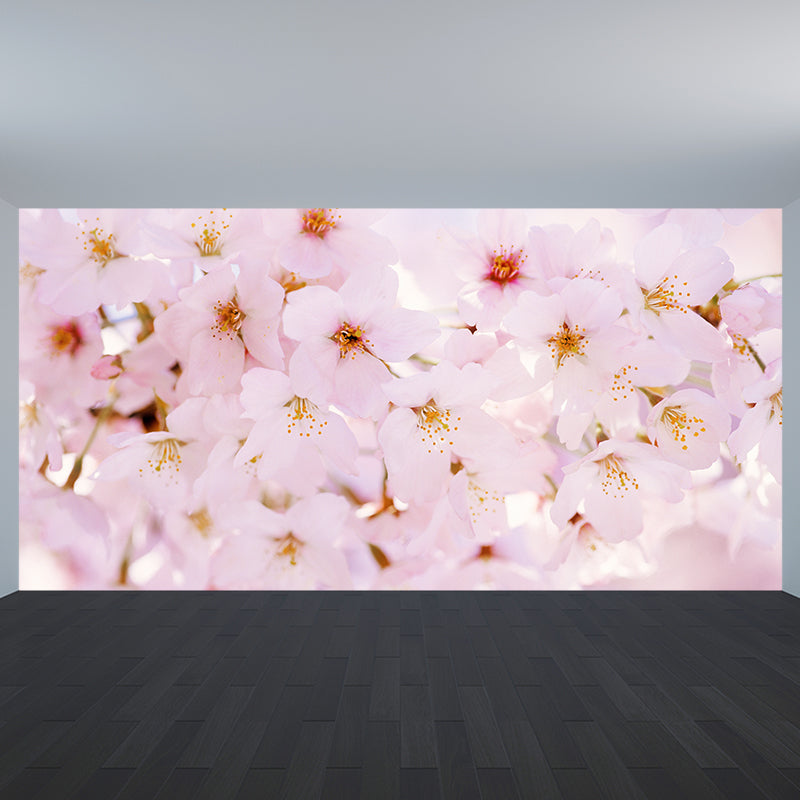 Pink Cherry Petal Mural Wallpaper Flower Contemporary Stain Resistant Wall Decor