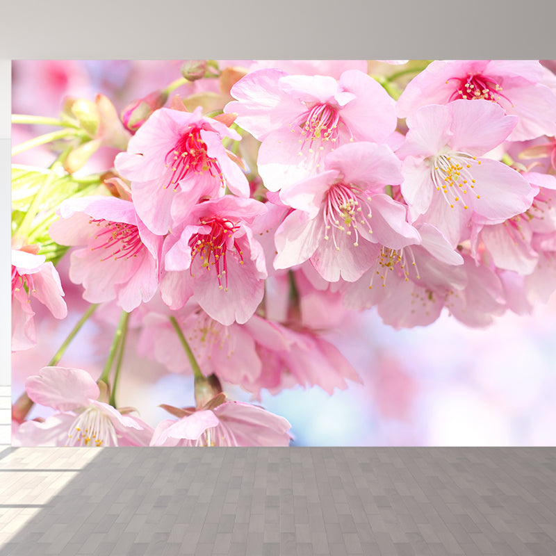 Modern Cherry Blossom Mural Decal Pink Living Room Wall Covering, Custom Size Available