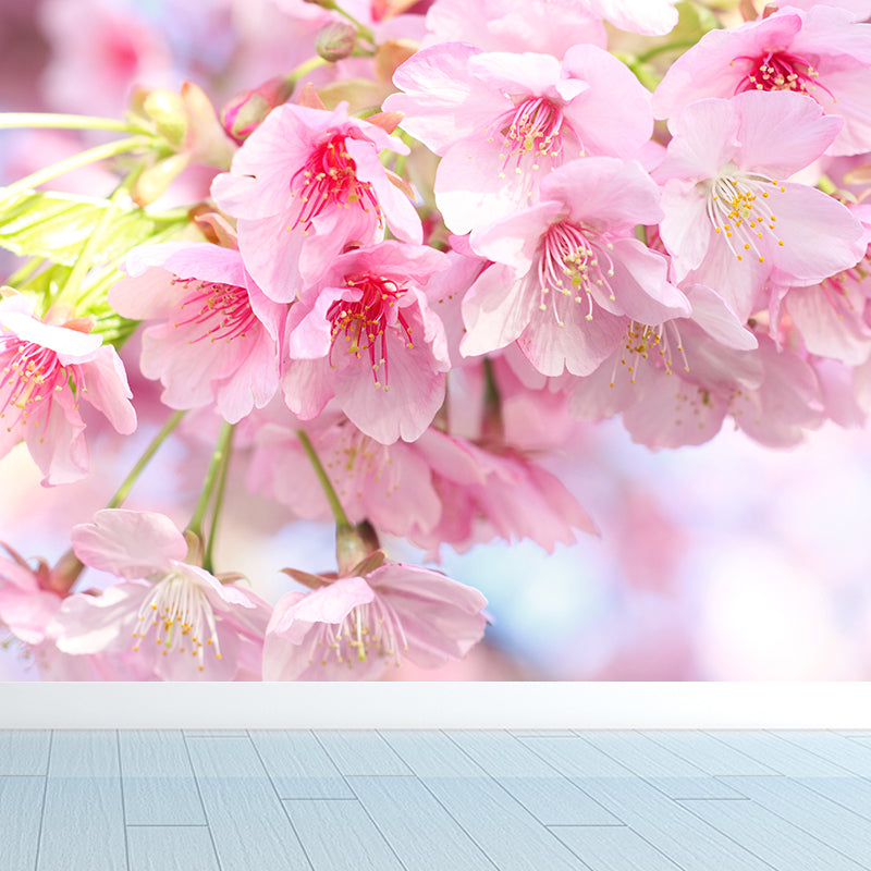 Modern Cherry Blossom Mural Decal Pink Living Room Wall Covering, Custom Size Available