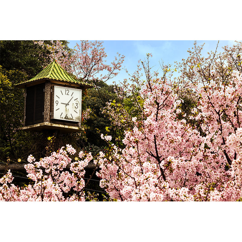 Big Cherry Mural Decal for Bathroom Floral Print Wall Art in Pink for House Decor