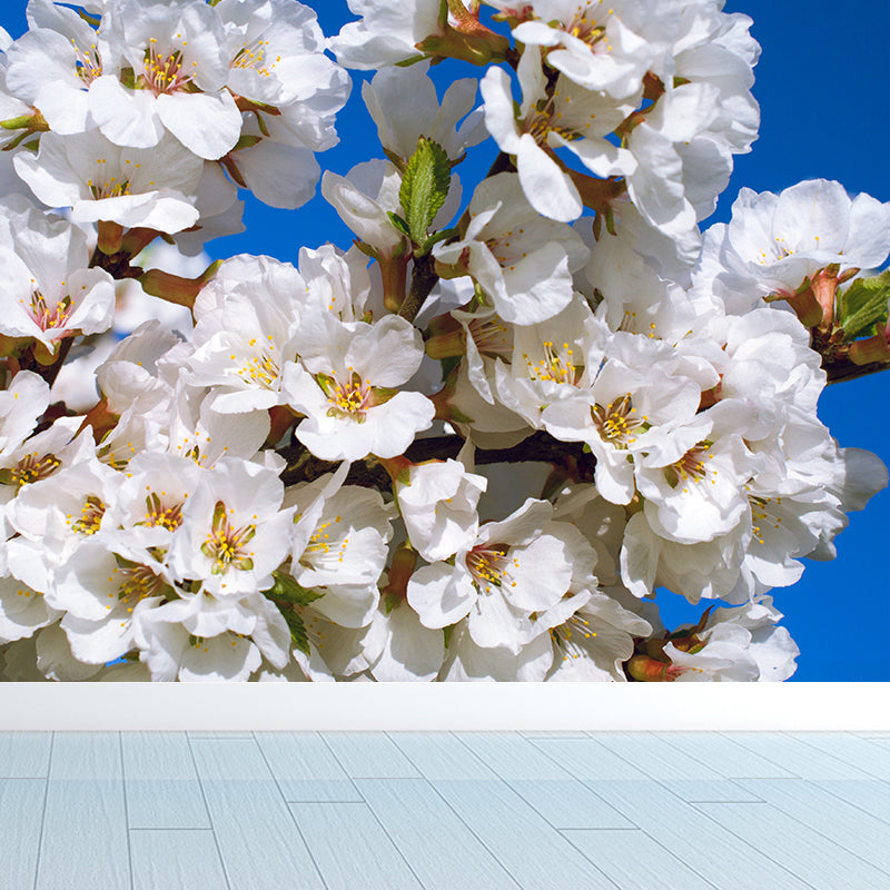 Whole Cherry Wall Mural for Bedroom Floral Print Wall Art in Blue for Interior Decor
