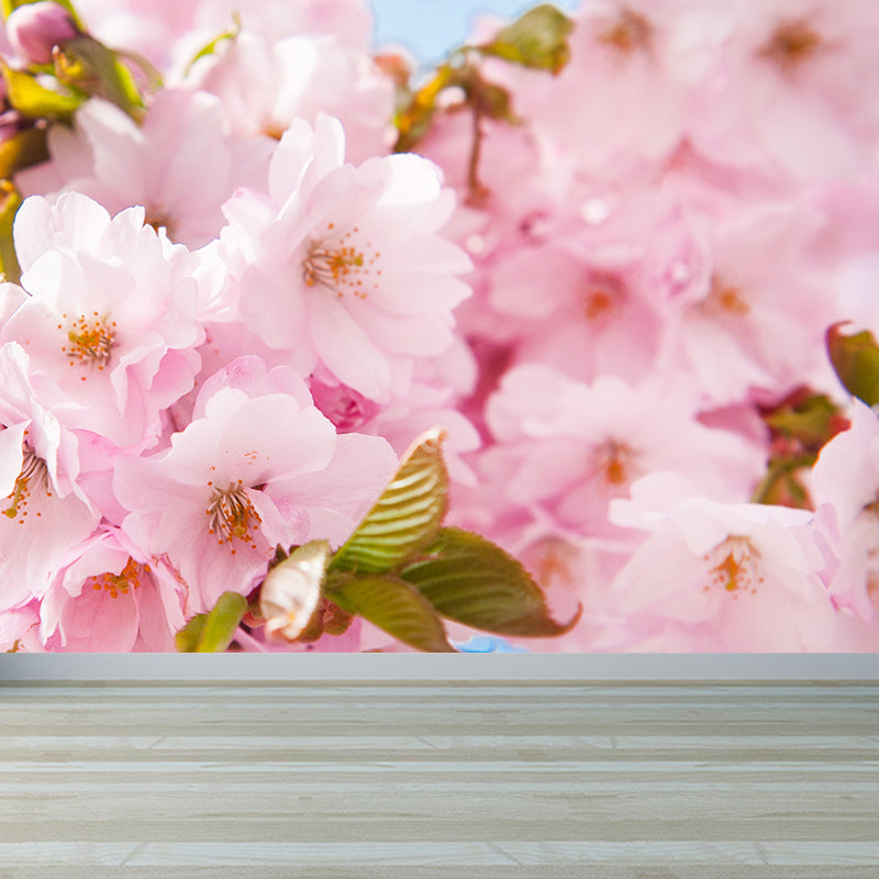 Cherry Bud Graphic Wall Mural Pink Decorative Wall Art for Bedroom, Custom Printed