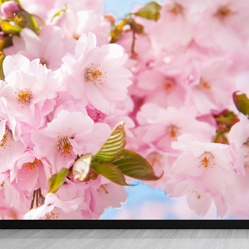 Cherry Bud Graphic Wall Mural Pink Decorative Wall Art for Bedroom, Custom Printed