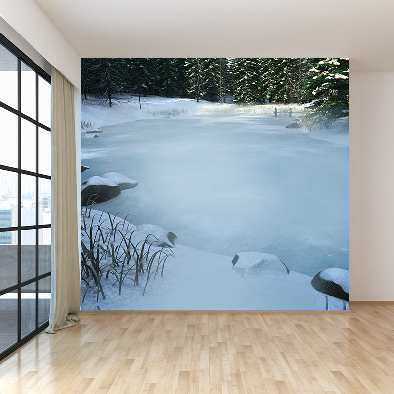 Home Decor Frozen River Mural Decal Customized Contemporary Wall Art for Kitchen