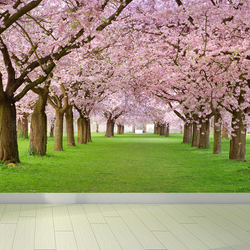 Extra Large Modern Mural Wallpaper in Pink Cherry Trees Wall Decor, Custom Printed