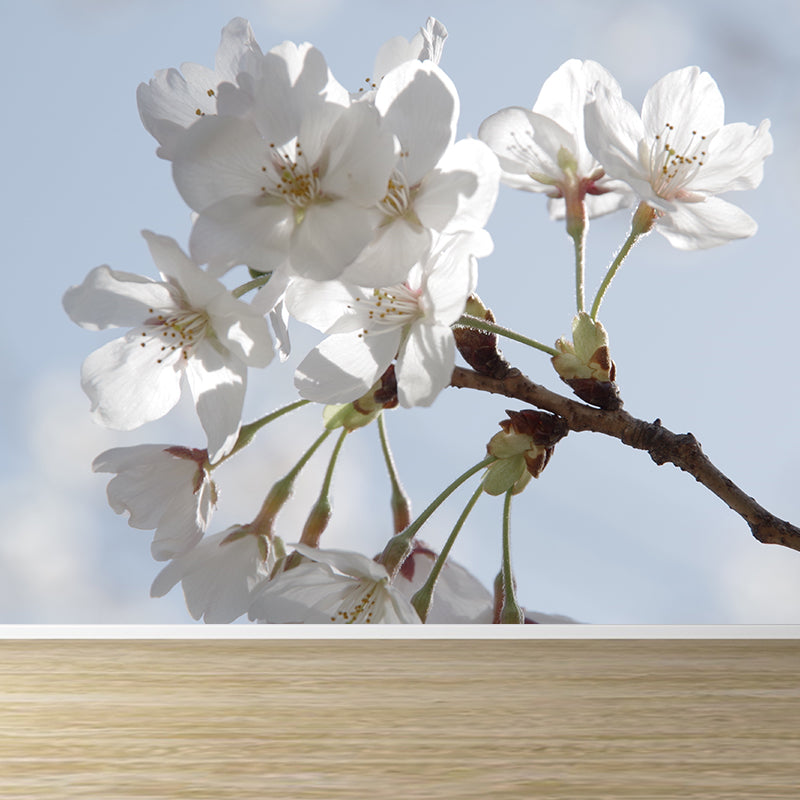 White Blossom Mural Wallpaper Moisture Resistant Modern Living Room Wall Covering