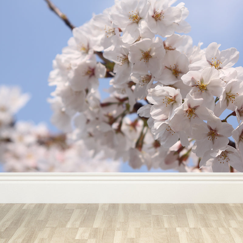 Cherry Mural Wallpaper Modern Decorative Bedroom Wall Covering, Custom Size Available