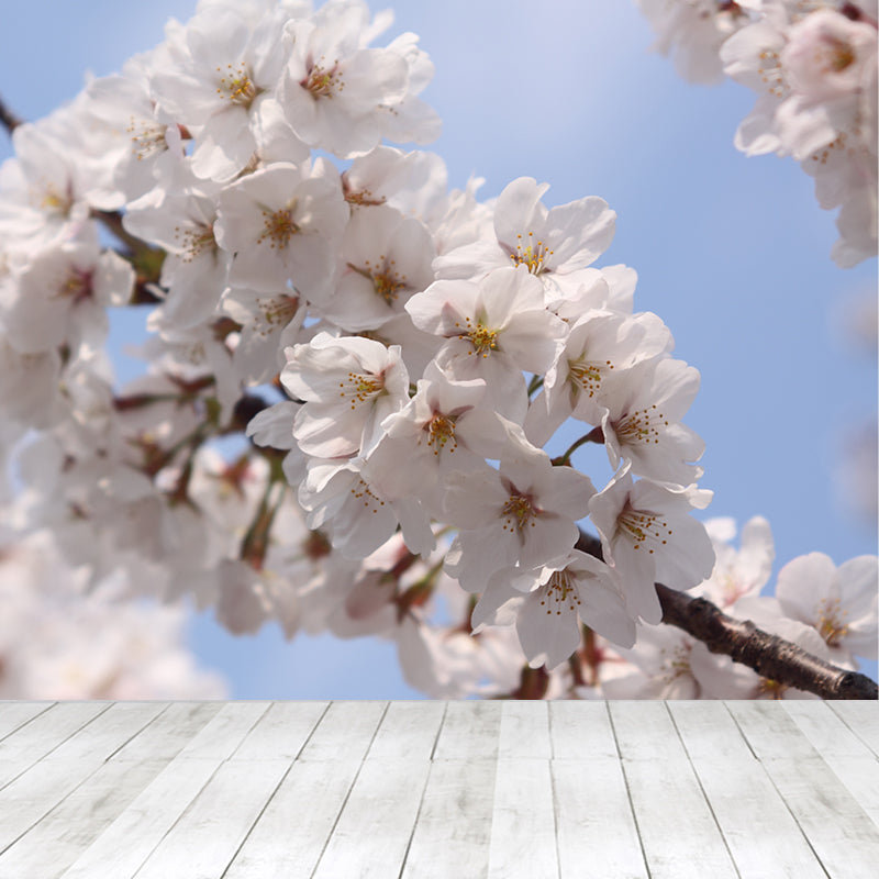 Cherry Mural Wallpaper Modern Decorative Bedroom Wall Covering, Custom Size Available