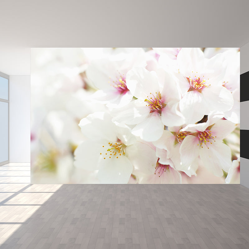 Whole Cherry Mural White Non-Woven Texture Wall Art for Indoor Decor, Personalised