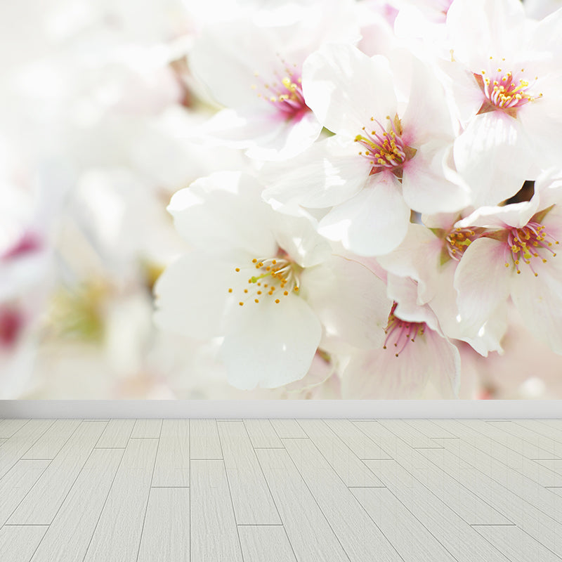 Whole Cherry Mural White Non-Woven Texture Wall Art for Indoor Decor, Personalised