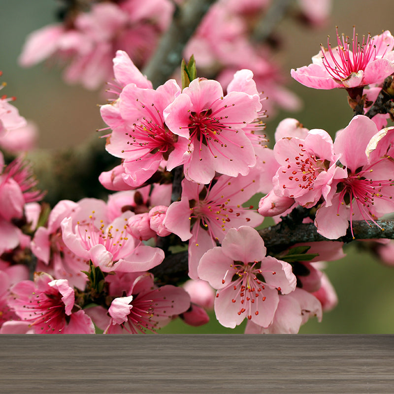 House Decor Floral Mural Decal Customized Contemporary Wall Covering for Bathroom