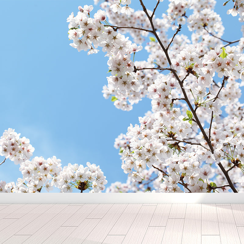 Stain Resistant Cherry Mural Wallpaper Non-Woven Modern Wall Decor for Girls Room