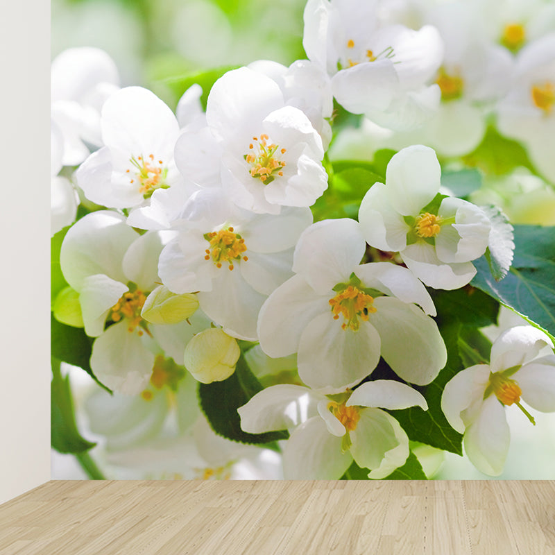 Photography Flower Landscape Wall Mural for Living Room, Pink, Custom Size Available