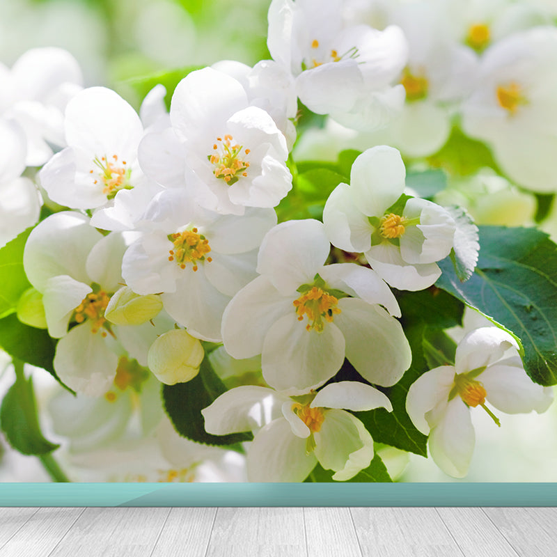 Photography Flower Landscape Wall Mural for Living Room, Pink, Custom Size Available