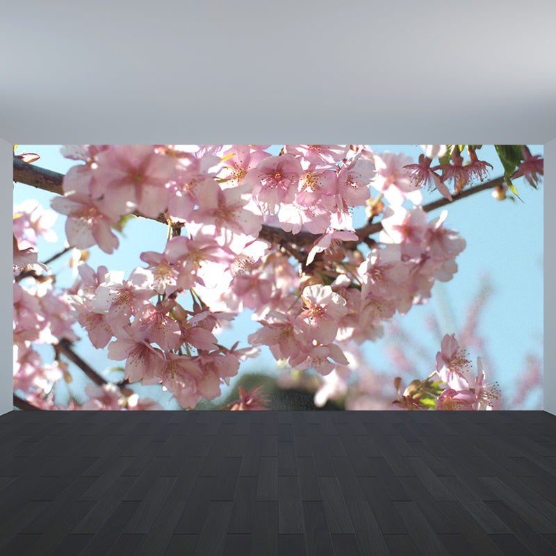 Photograph Style Cherry Blossom Mural Giant Wall Covering for Dining Room, Custom