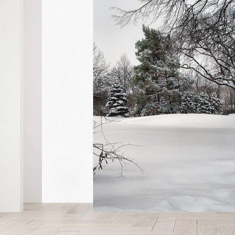 Winter Botanical Mural Wallpaper Gray Contemporary Wall Covering for Living Room