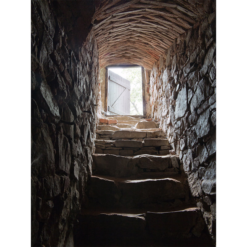 Pewter Cellar Stairway Wall Mural Water-Proof Modernist Dining Room Wall Decoration