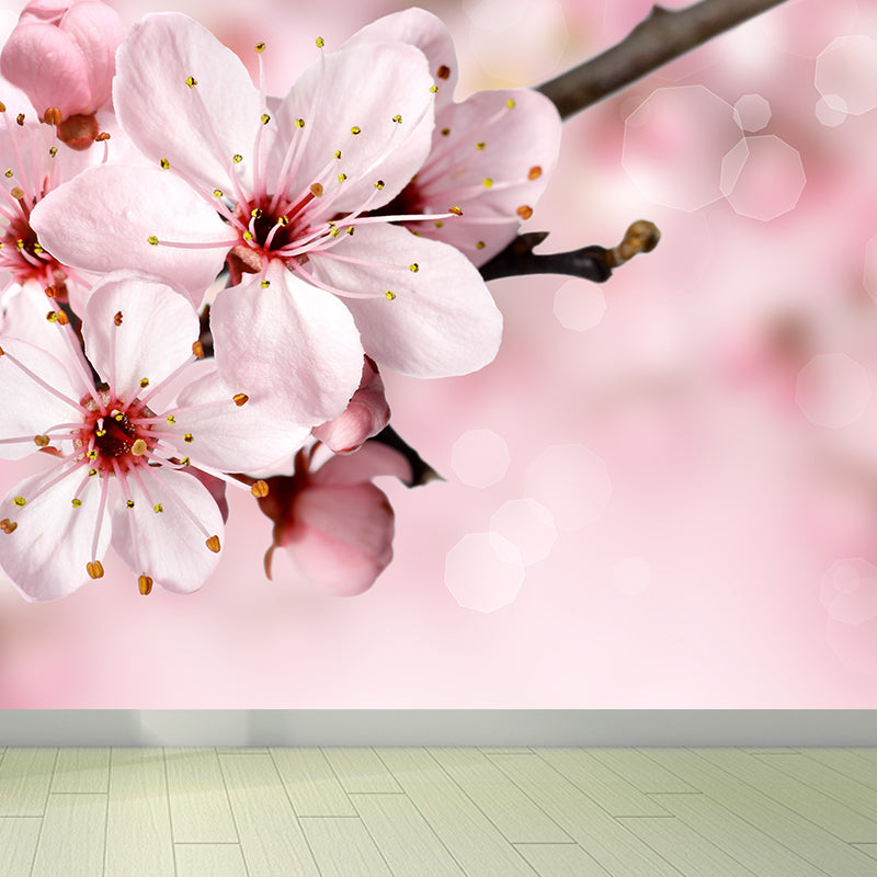 Cherry Blossom Wall Mural Contemporary Washable Living Room Wall Covering, Personalize
