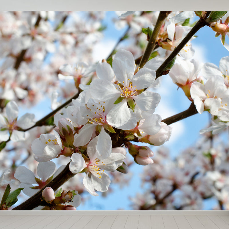 Contemporary Bud Mural Wallpaper Non-Woven Material Washable White Wall Decor for Bedroom