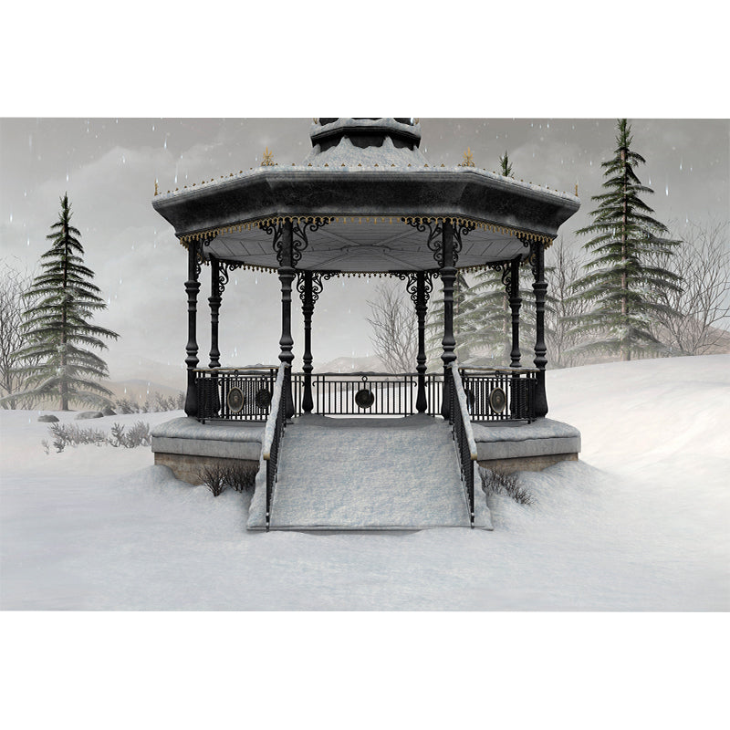 Severe Winter Pavilion Mural Wallpaper Contemporay Non-Woven Material Wall Covering