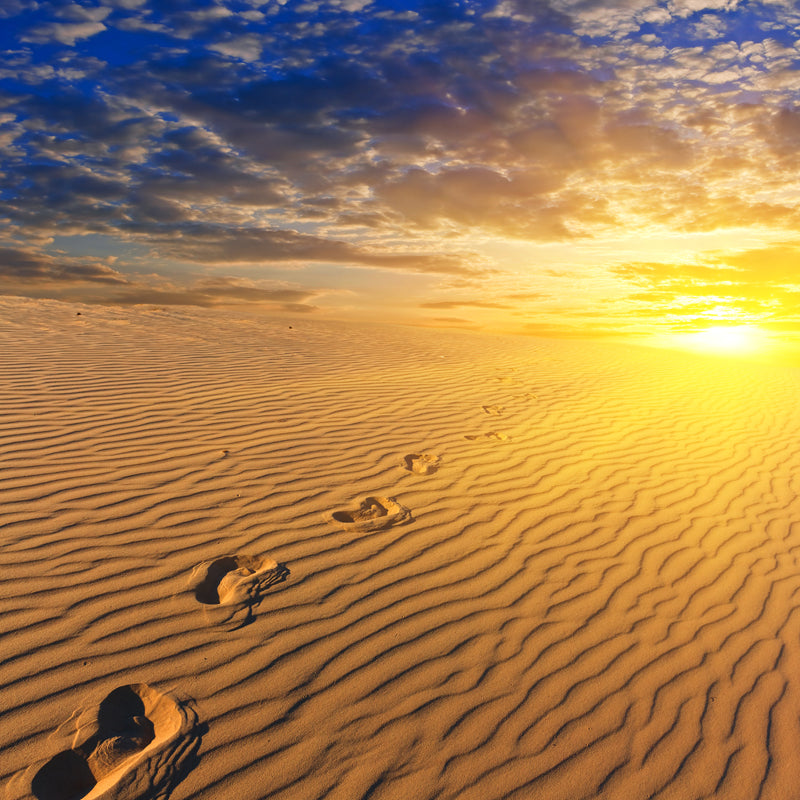 Dusk Sand Wave Desert Mural Yellow and Blue Modernism Wall Decor for Living Room