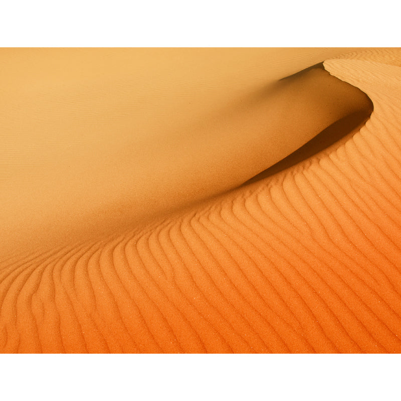 Big Ripple-Look Dune Mural Wallpaper Yellow Non-Woven Wall Art, Washable, Custom Made