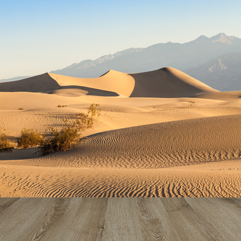 Desert Plants Wall Mural Decal Modern Non-Woven Material Wall Decor in Yellow for Home