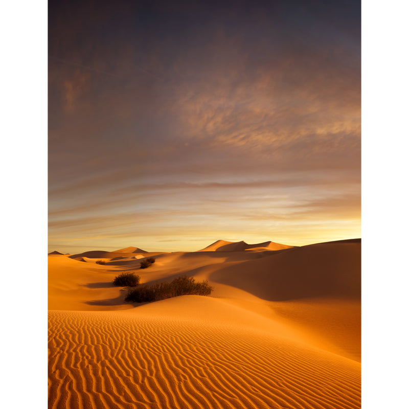 Non-Woven Yellow Whole Mural Modern Desert Dune and Nightfall Sky Scenery Wall Decor, Custom Size