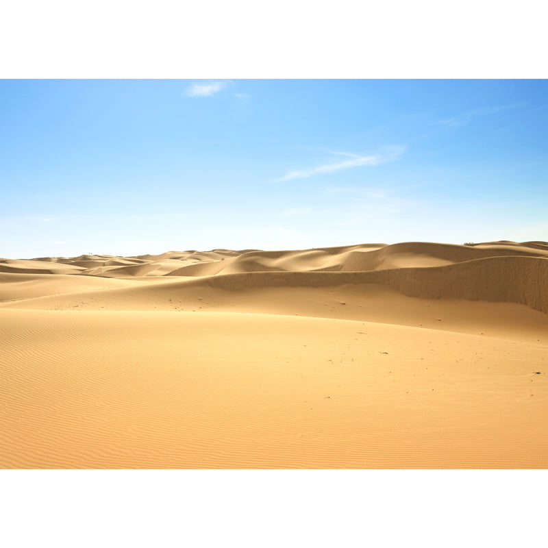 Endless Dune Sea Mural Wallpaper Living Room Desert Scene Wall Covering, Made to Measure