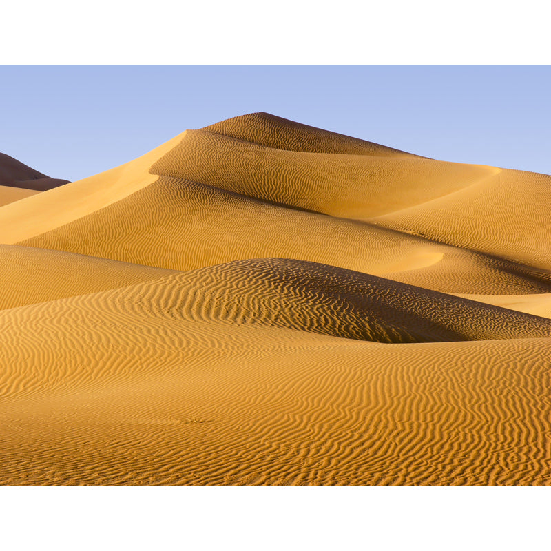 Yellow Dunes Wall Paper Mural Moisture Resistant Wall Covering for Accent Wall, Custom