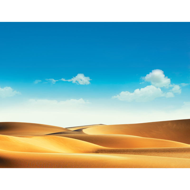 Large Desert Wall Mural Decal Modern Splendid Dune and Sky Wall Covering in Blue
