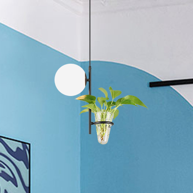 Metal Black/Gold Drop Lamp Orb 1 Head Industrial LED Plant Down Lighting Pendant with Milk White/Smoke Grey Glass Shade