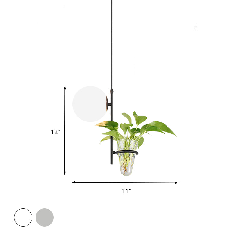 Metal Black/Gold Drop Lamp Orb 1 Head Industrial LED Plant Down Lighting Pendant with Milk White/Smoke Grey Glass Shade