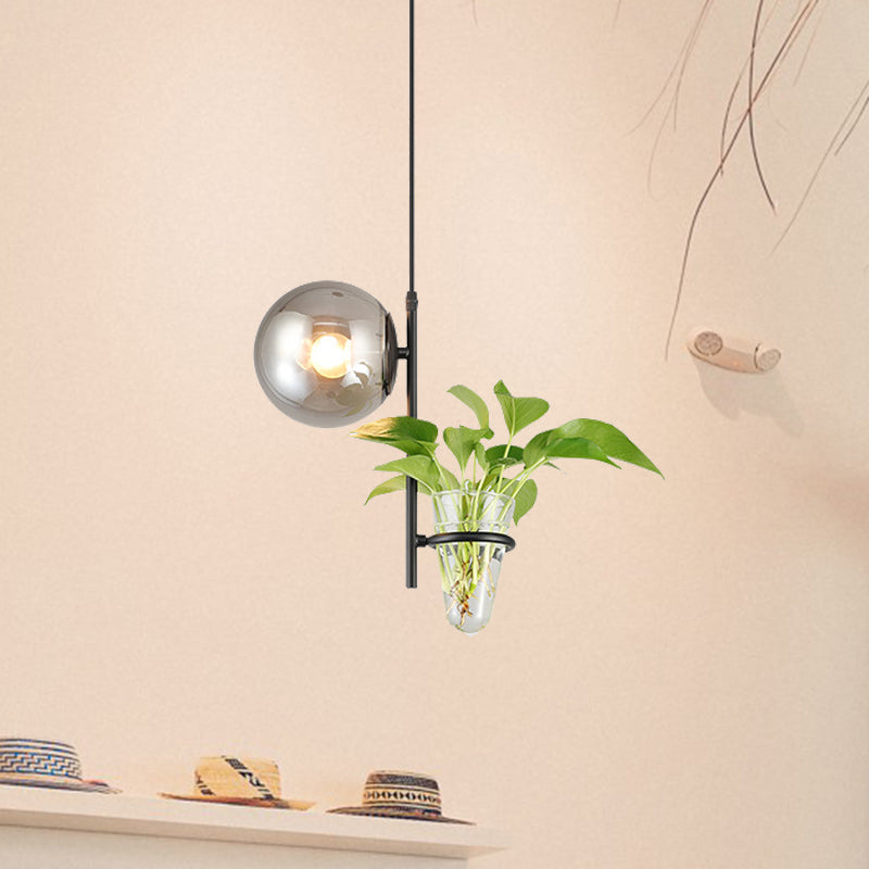 Metal Black/Gold Drop Lamp Orb 1 Head Industrial LED Plant Down Lighting Pendant with Milk White/Smoke Grey Glass Shade