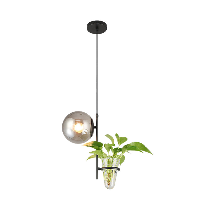 Metal Black/Gold Drop Lamp Orb 1 Head Industrial LED Plant Down Lighting Pendant with Milk White/Smoke Grey Glass Shade