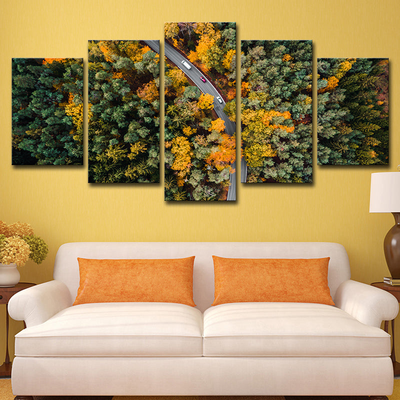 Aerial Photography Forest Road Canvas Wall Art for Sitting Room, Orange and Green