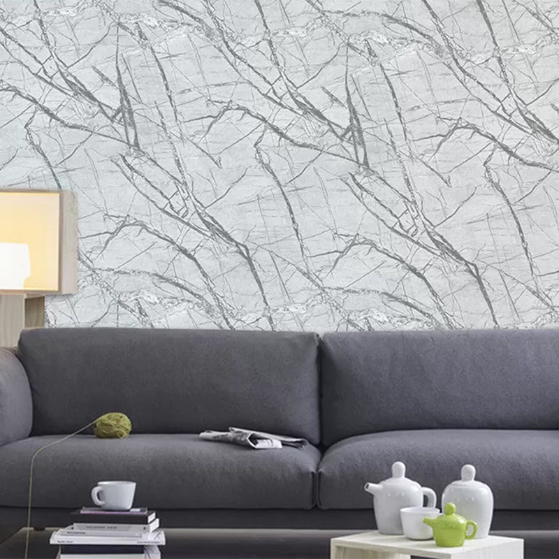 Modern Marble Veins Print Wallpaper for Dining Room 33' x 20.5" Wall Covering in Grey