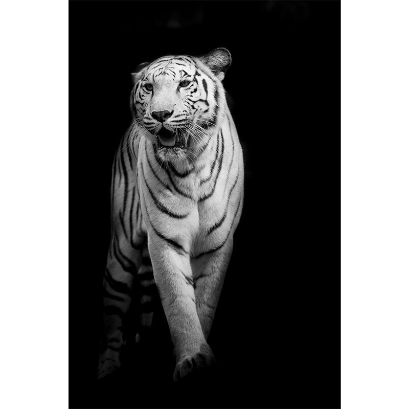 Wild Tiger Mural Wallpaper Contemporary Non-Woven Textured Wall Covering in Black