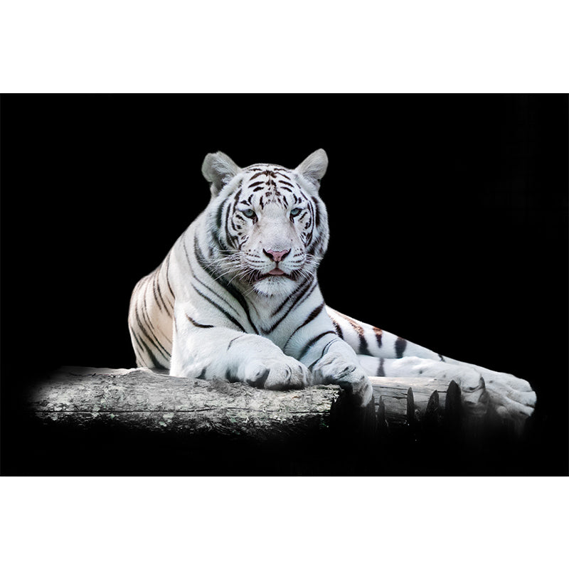 Modern Recumbent Tiger Mural Decal Black Dining Room Wall Decor, Custom Size Available