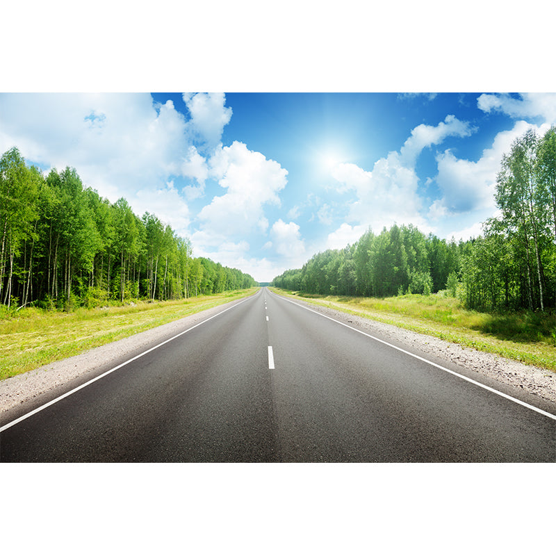 Highway Scene Mural Wallpaper Modern Non-Woven Cloth Wall Covering in Soft Color