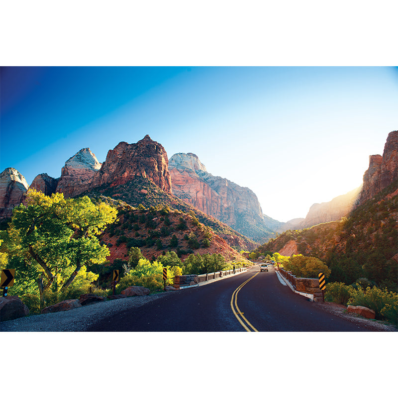 Road and Botanical Wall Mural Modern Decorative Living Room Wall Covering, Personalise