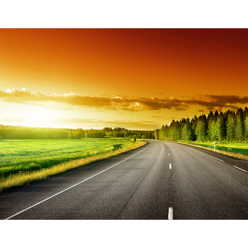 Stain-Proof Highway Wall Mural Non-Woven Texture Modern Wall Decor for Girls Room