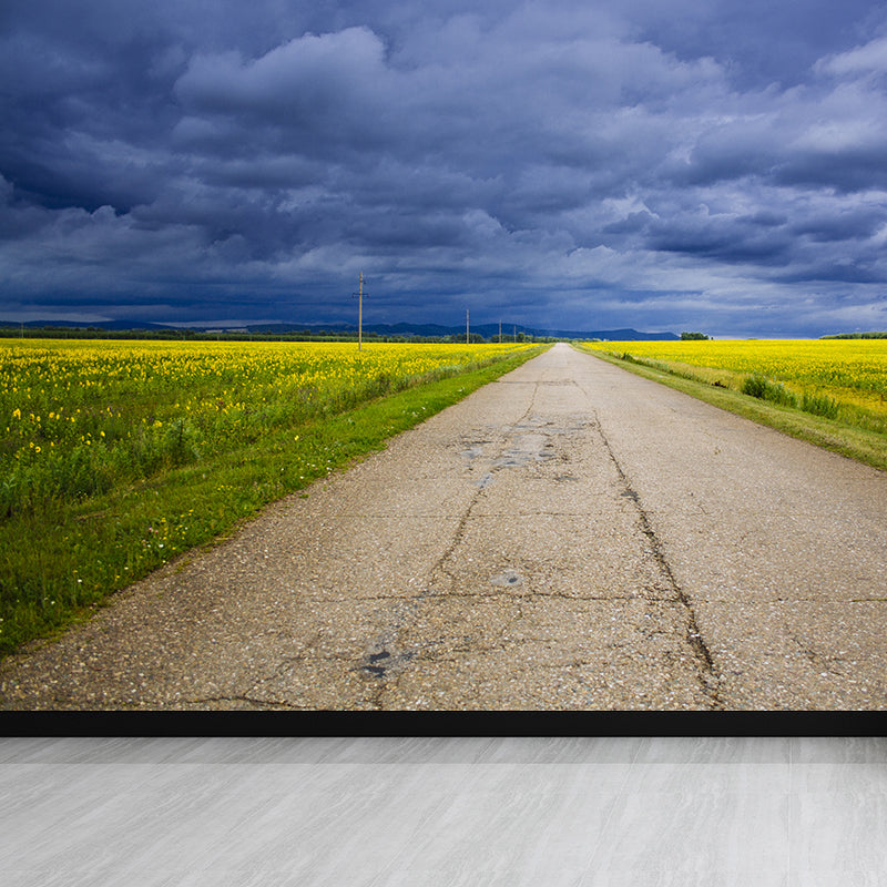 Full Size Photography Modern Mural Wallpaper with Highway and Grassland in Light Color