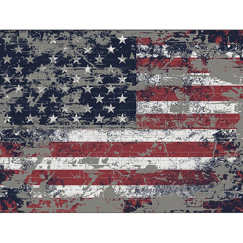 Red and Blue Modern Rug Polyester USA Flag Pattern Rug Washable Non-Slip Backing Carpet for Living Room