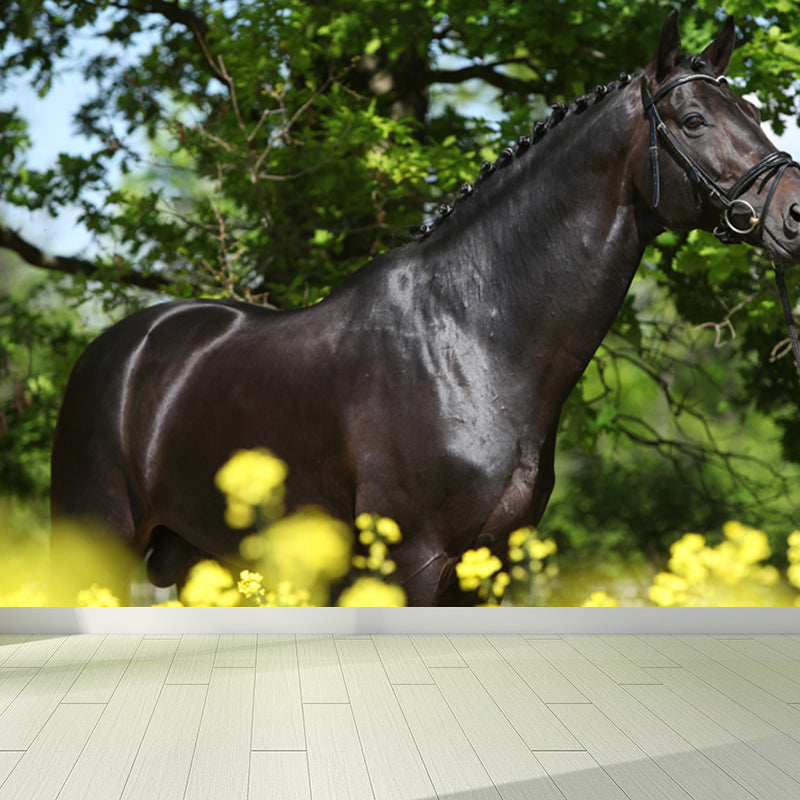 Contemporary Asian Horse Mural Wallpaper Light Color Nature Animals Wall Covering