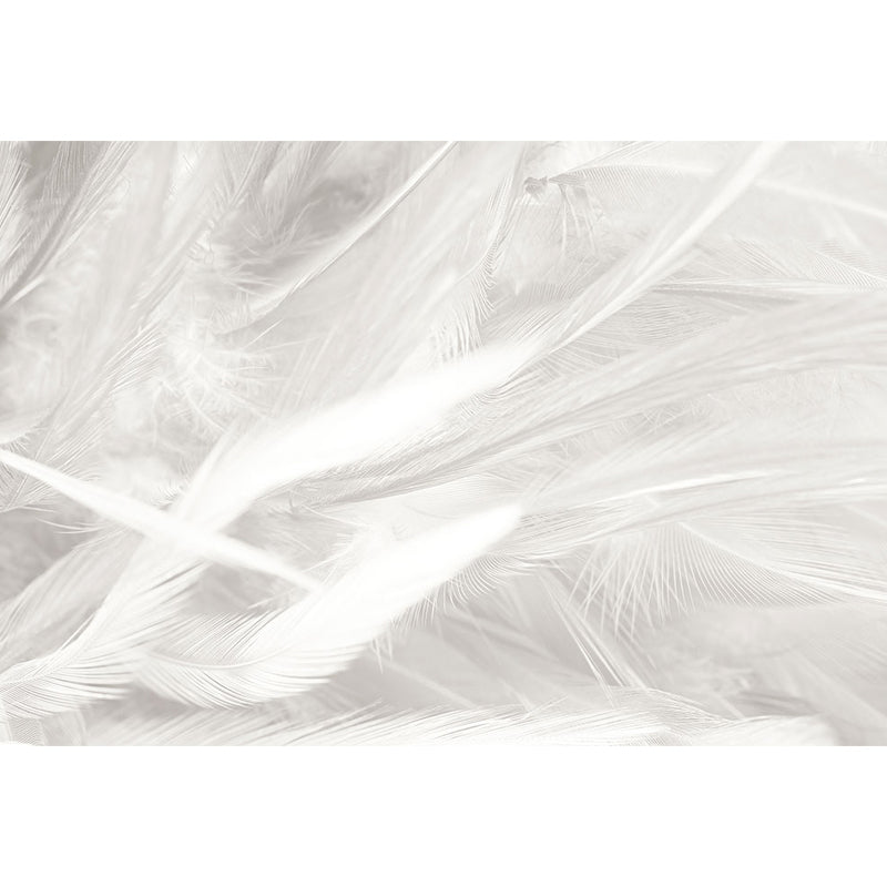 Stacked Bird Feather Mural Wallpaper Contemporary Non-Woven Texture Wall Covering