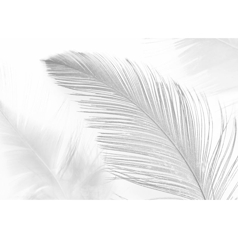 Bird Feather Mural Wallpaper Modern Decorative Kitchen Wall Art, Custom Size Available