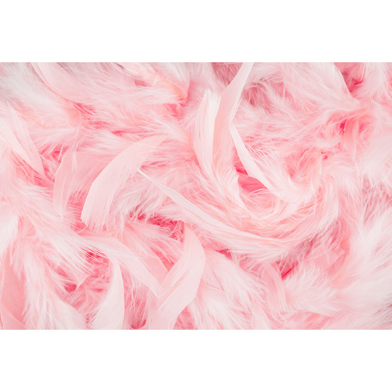 Full Size Illustration Modern Mural Wallpaper with Bird Feathers in Pastel Color