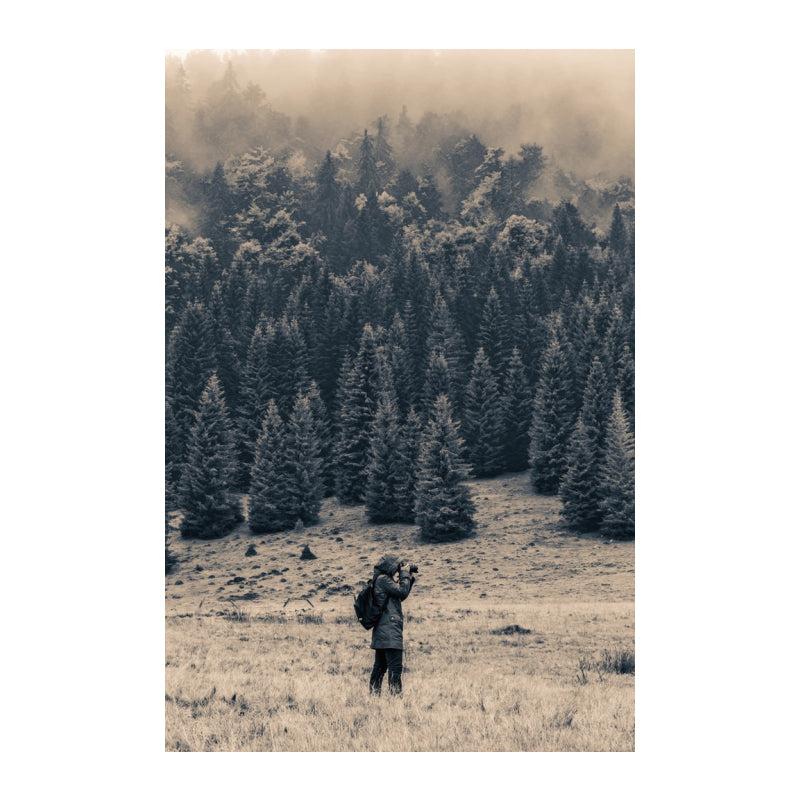 Meadow and Misty Forest Art Print Black Vintage Canvas for Dining Room, Textured