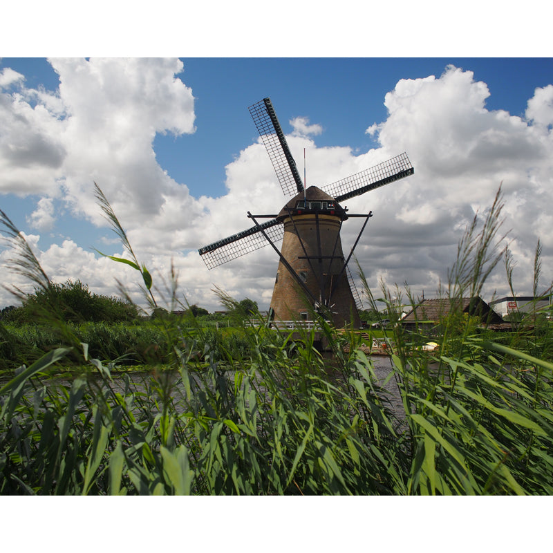 Full Size Photography Modern Mural Wallpaper with Spring Windmill Landscape in Blue
